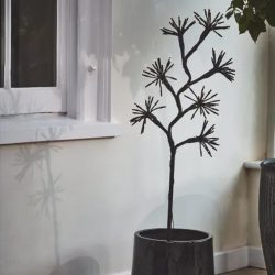 solar Starburst branch - takken - impressie solar Starburst branch - takken - impressie